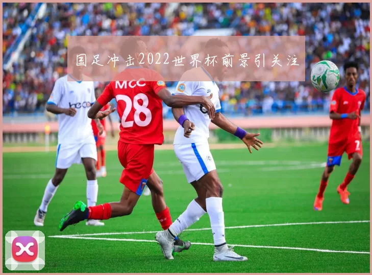 国足冲击2022世界杯前景引关注