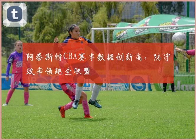 阿泰斯特CBA赛季数据创新高，防守效率领跑全联盟