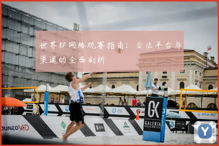 世界杯网络观赛指南：合法平台与渠道的全面剖析