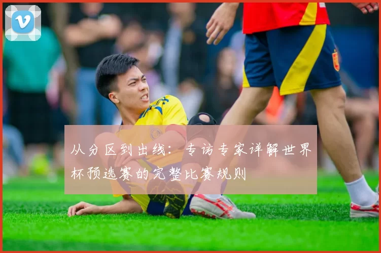 从分区到出线：专访专家详解世界杯预选赛的完整比赛规则
