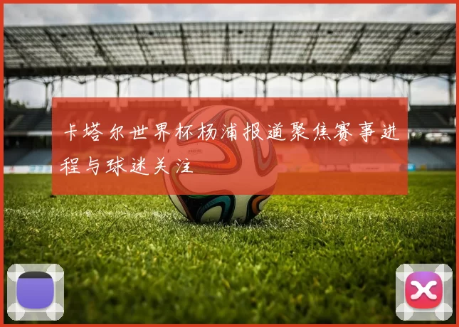 卡塔尔世界杯杨浦报道聚焦赛事进程与球迷关注