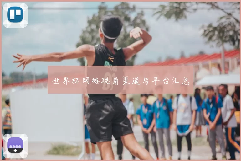 世界杯网络观看渠道与平台汇总