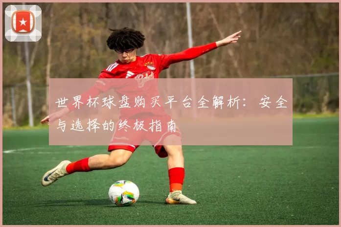 世界杯球盘购买平台全解析:安全与选择的终极指南