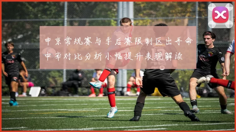 申京常规赛与季后赛限制区出手命中率对比分析小幅提升表现解读