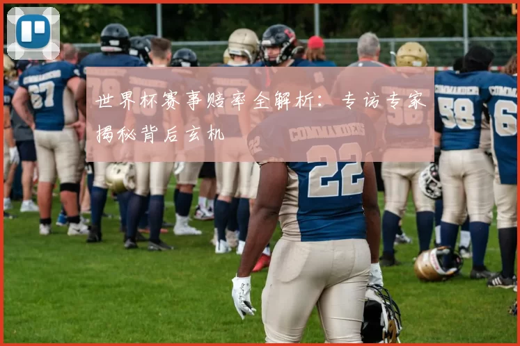 世界杯赛事赔率全解析：专访专家揭秘背后玄机