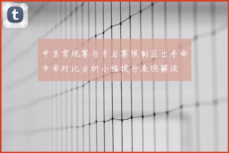 申京常规赛与季后赛限制区出手命中率对比分析小幅提升表现解读