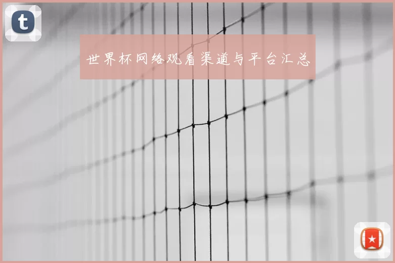世界杯网络观看渠道与平台汇总
