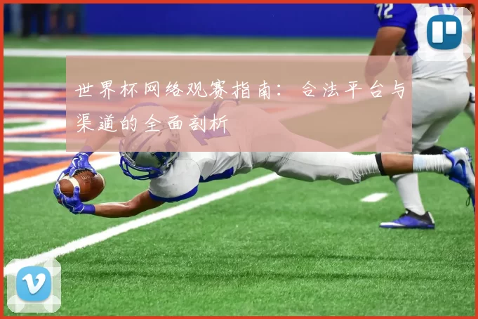 世界杯网络观赛指南:合法平台与渠道的全面剖析