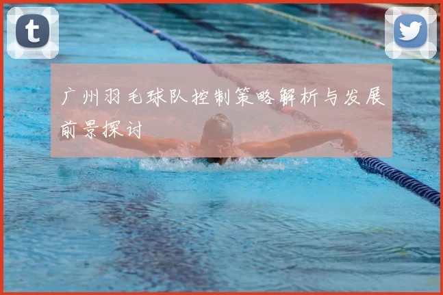 广州羽毛球队控制策略解析与发展前景探讨