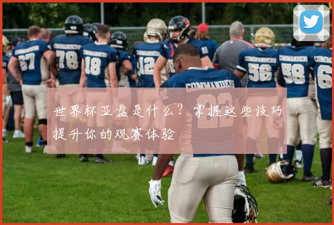 世界杯亚盘是什么？掌握这些技巧提升你的观赛体验