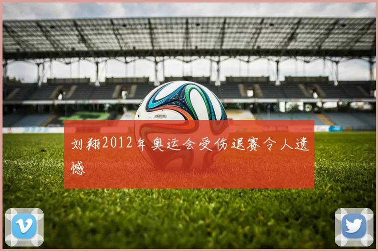刘翔2012年奥运会受伤退赛令人遗憾